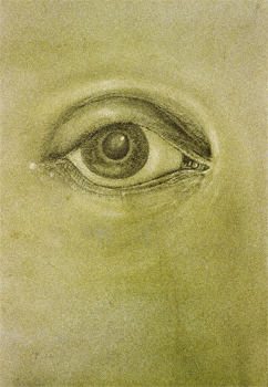 Auge, Bleistift und Tee auf Papier, 1978